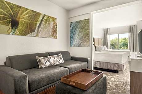 Studio with Two Queen Beds and Sofa Bed