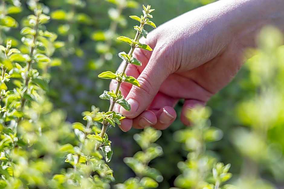 Hotel Val Di Sogno - Adults Only