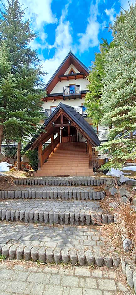 Willa u Kośle Zakopane sauna i bilard