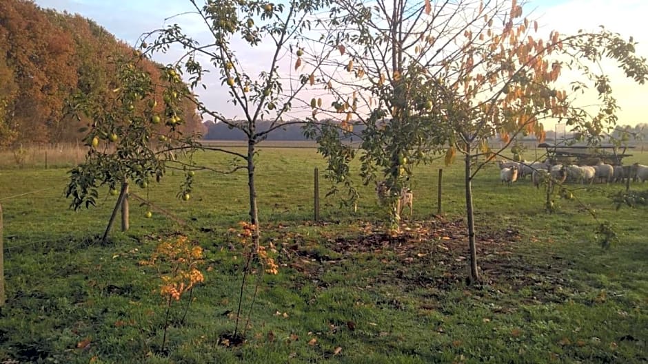 Pipowagen Lidewei Groningen Westerwolde unieke ligging met eigen tuin en vrij uitzicht over veld naar natuurgebied