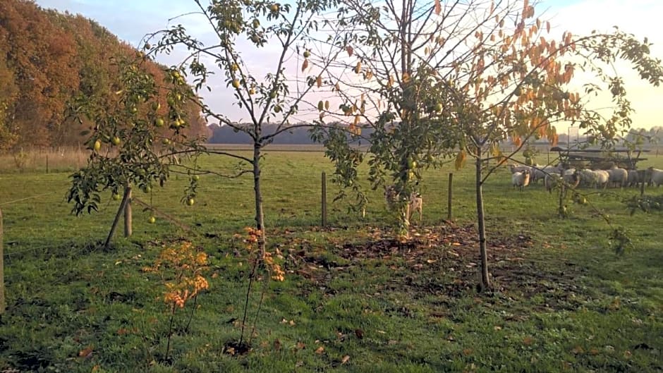 Pipowagen Lidewei Groningen Westerwolde unieke ligging met eigen tuin en vrij uitzicht over veld naar natuurgebied