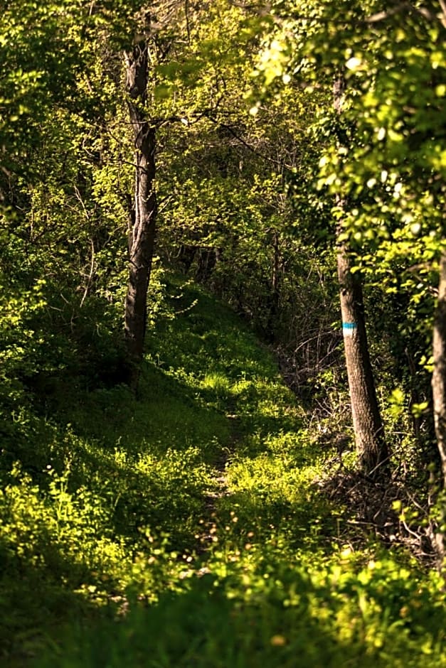 Ostello Podesteria di Gombola - arte e territorio