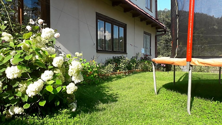 Pokoje Gościnne Pod Jaworem - obok pięknego szlaku wzdłuż rzeki Białka, 1km do stoków Kotelnica