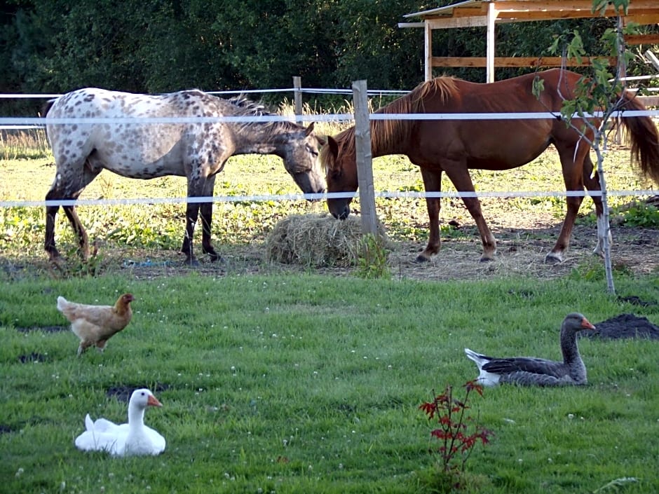 Les chambres du Vau Profond