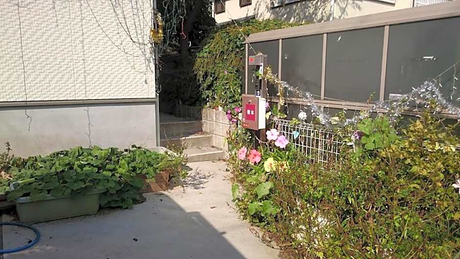 バイキング樫本