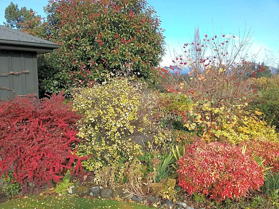 Marchmont Gardens
