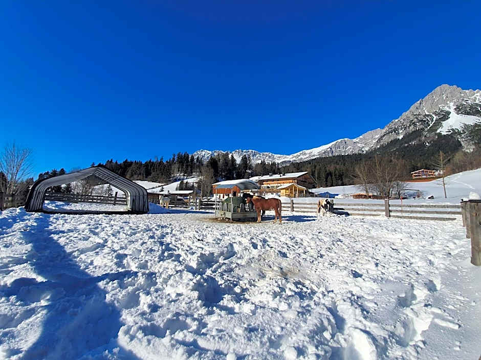 Grubhof Appartements