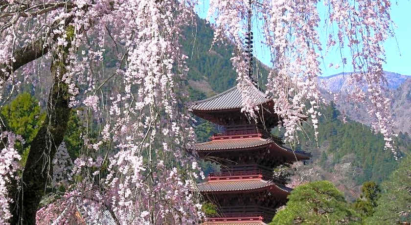 TEMPLE HOTEL HABANOBO