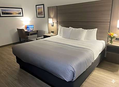 1 King Bed Suite Nonsmoking