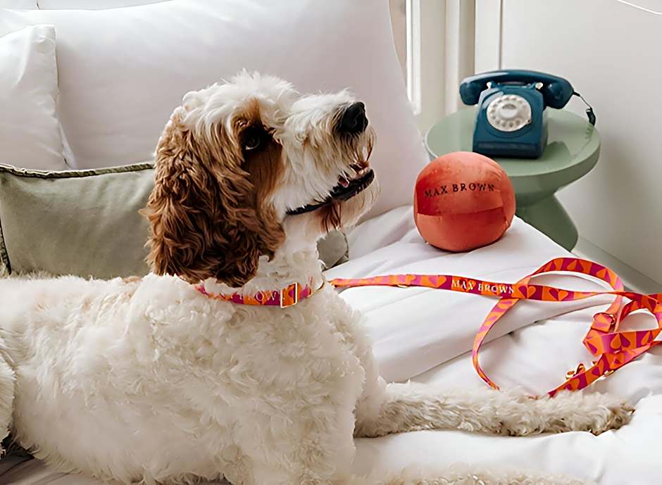 Max Brown Hotel Museum Square