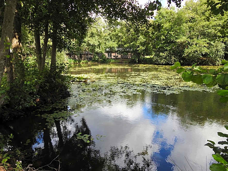 Warren Wood Country Park