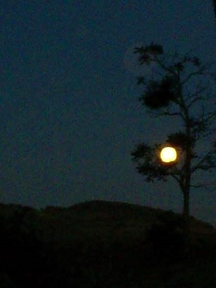 Pousada Muro de Pedra