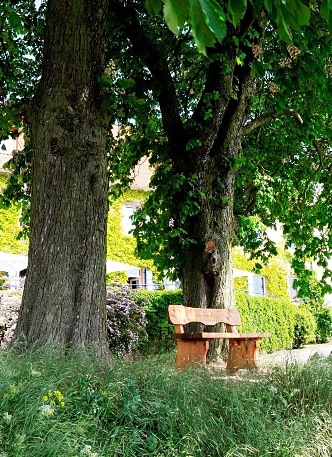 Hofgut Wißberg - Das Weinberghotel