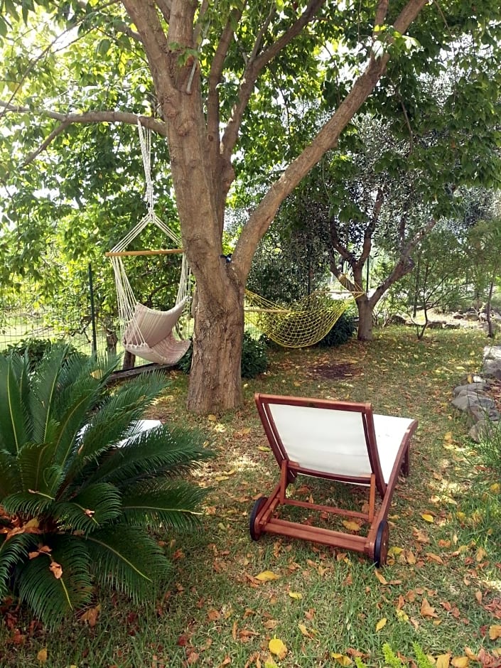 B&B Mazzarella – San Mauro Cilento, UT
