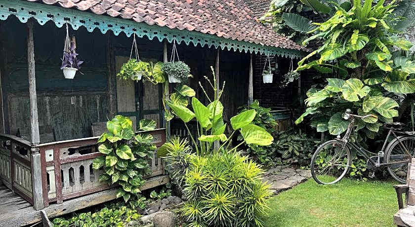 Happy House BnB Bromo backpacker