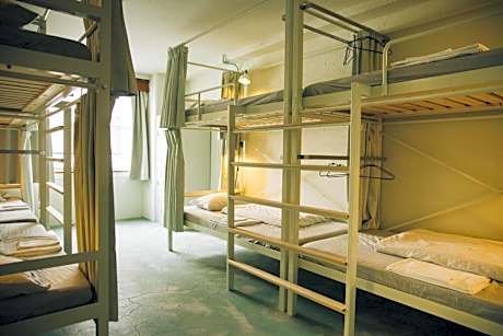 Bunk Bed in Female Dormitory Room for 8 people