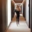 Hotel Sorli Emocions