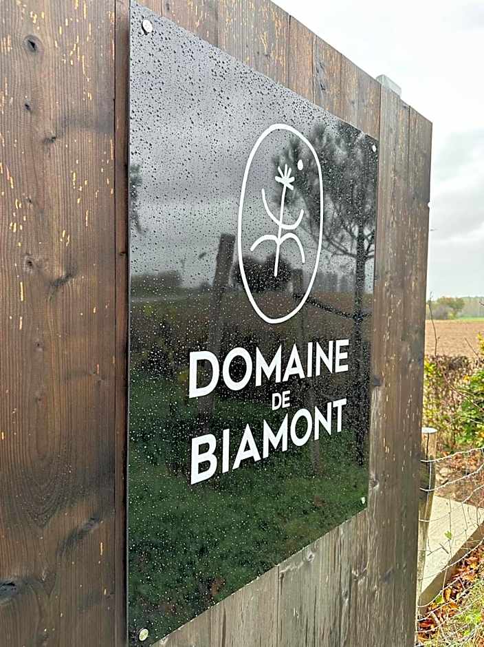 Cabanes avec jacuzzi les pieds dans la vignes