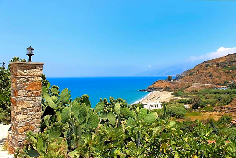 Ikaria Utopia - Cusco Studios