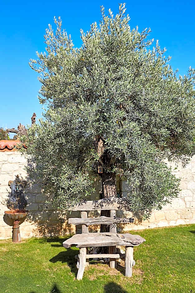 Alakapi Hotel & Villas