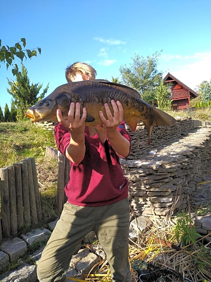 Domki całoroczne nad zalewem