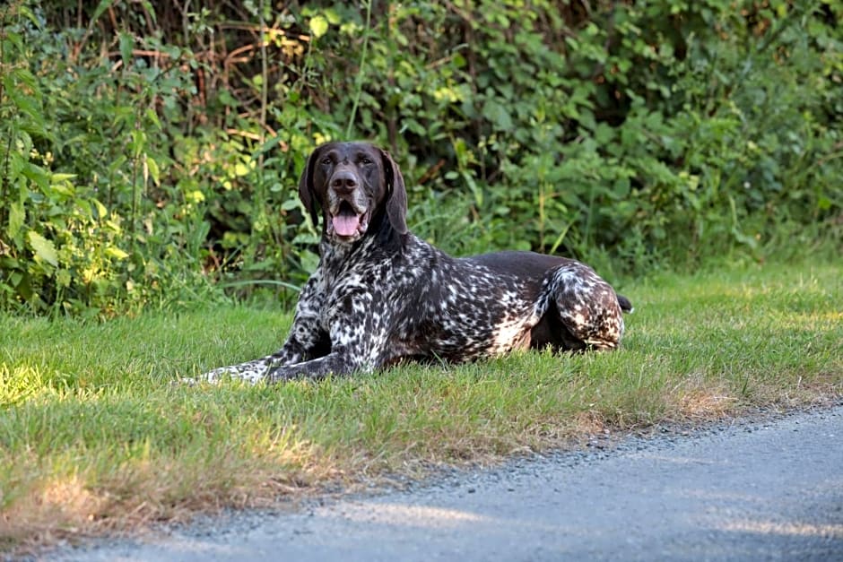 Relais de Chasse la Chaignaie