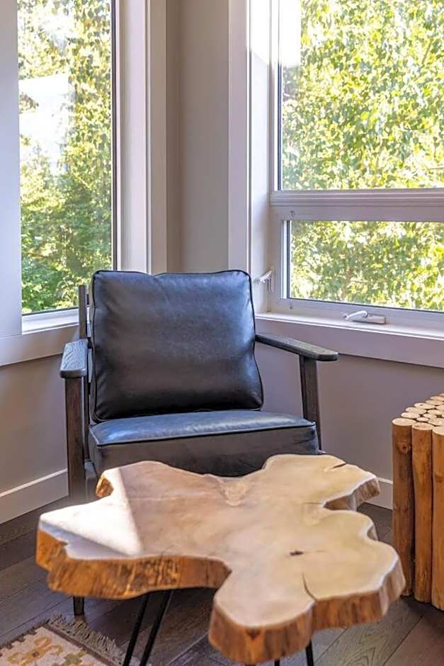Ski In & 15 Minute Walk to the Lifts Hot Tub AC Pet Friendly