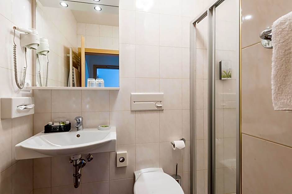 Goldener Löwe - Anno 1773