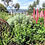 Troldhaugen Lodge - Adults Only