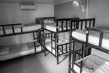 Bed in 6-Bed Mixed Dormitory Room