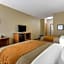Comfort Inn Moline