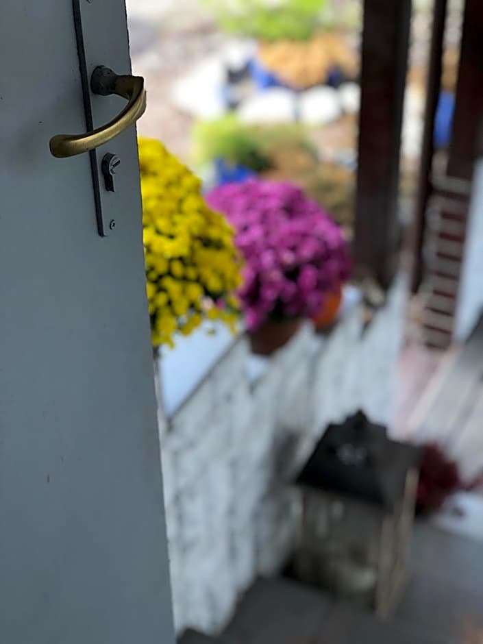 Szumi Las Bed & Breakfast