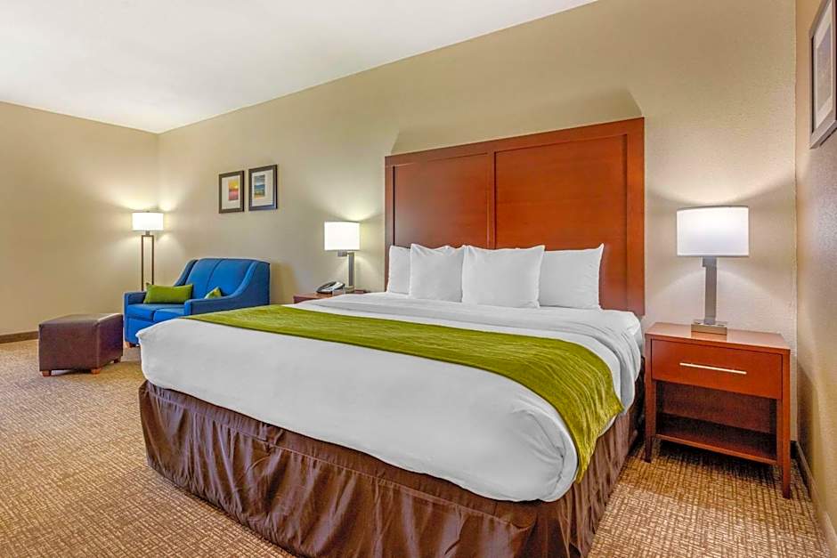 Comfort Inn Lenoir City-Knoxville