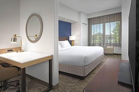 King Suite with Sofa Bed