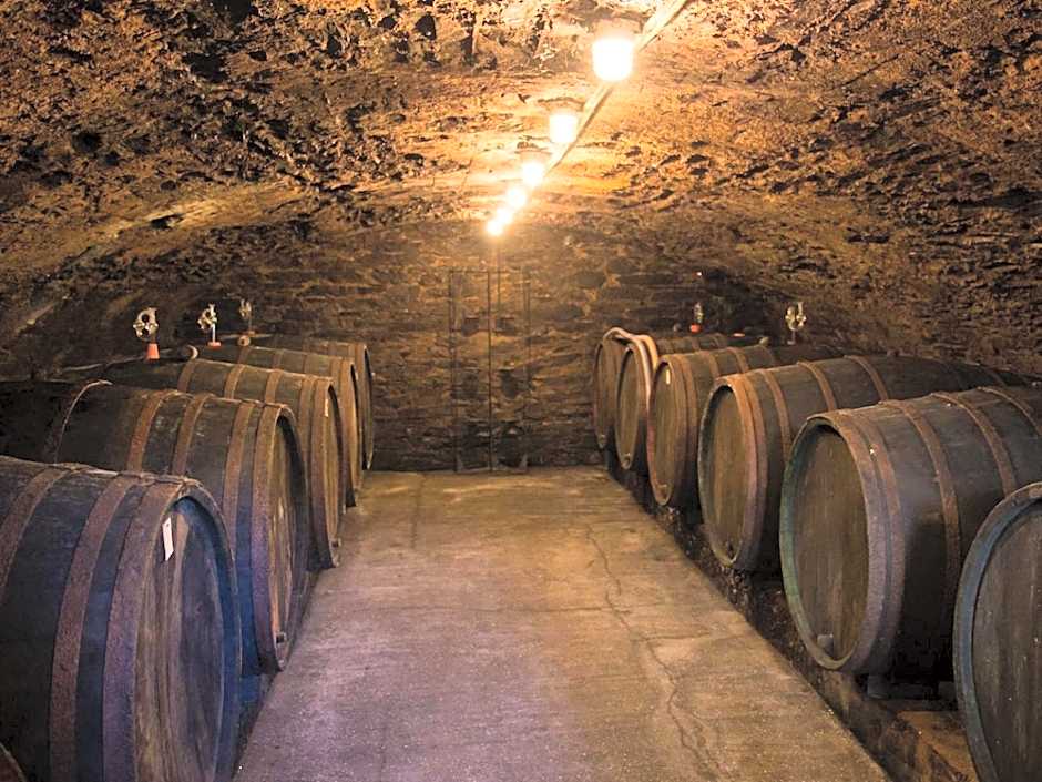 Hotel zur Post - Burg an der Mosel