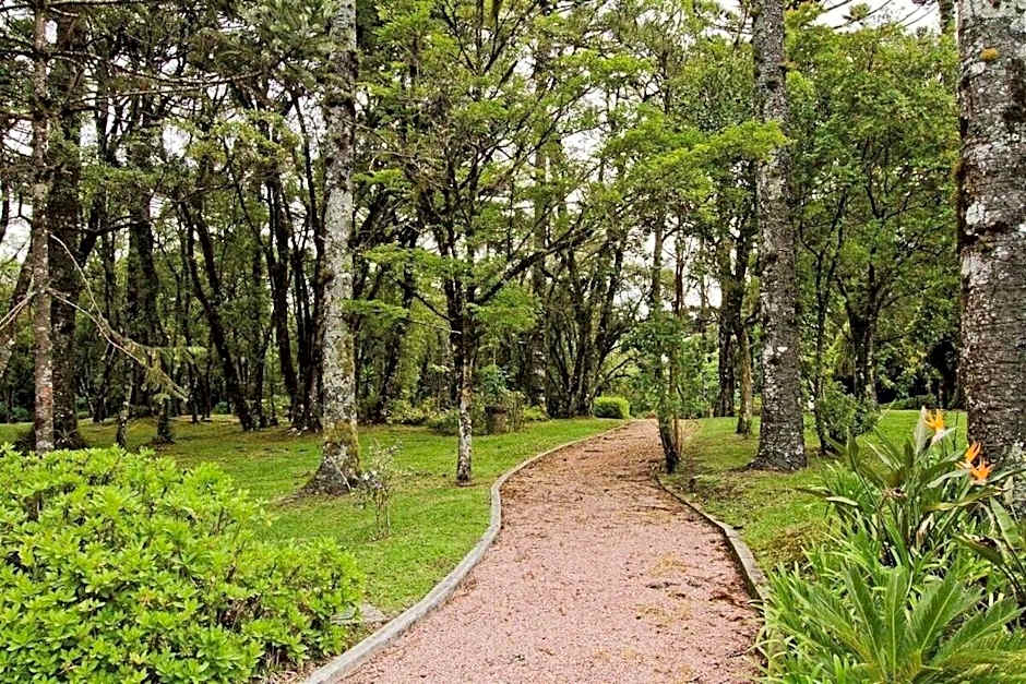 Fantástico Studio Royal Laje de Pedra MV (3022)