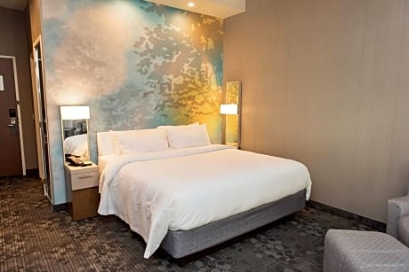 Room, 1 King Bed