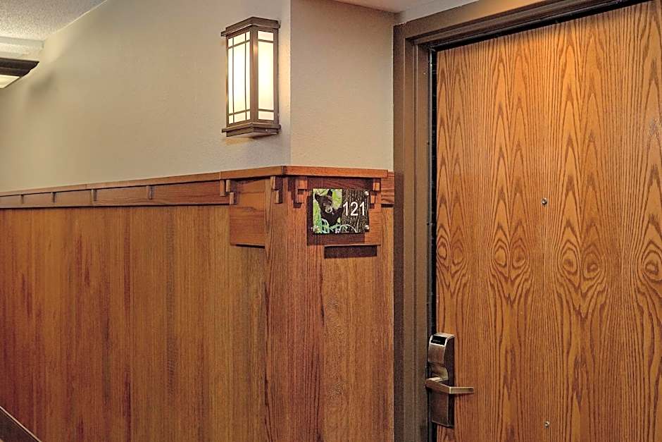 The Inn On The River