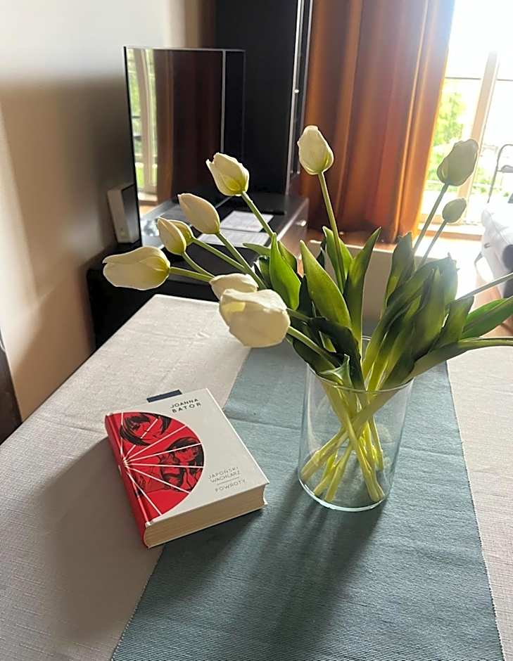 EUROPA22 Pokoje do wynajęcia - Hostel w centrum miasta