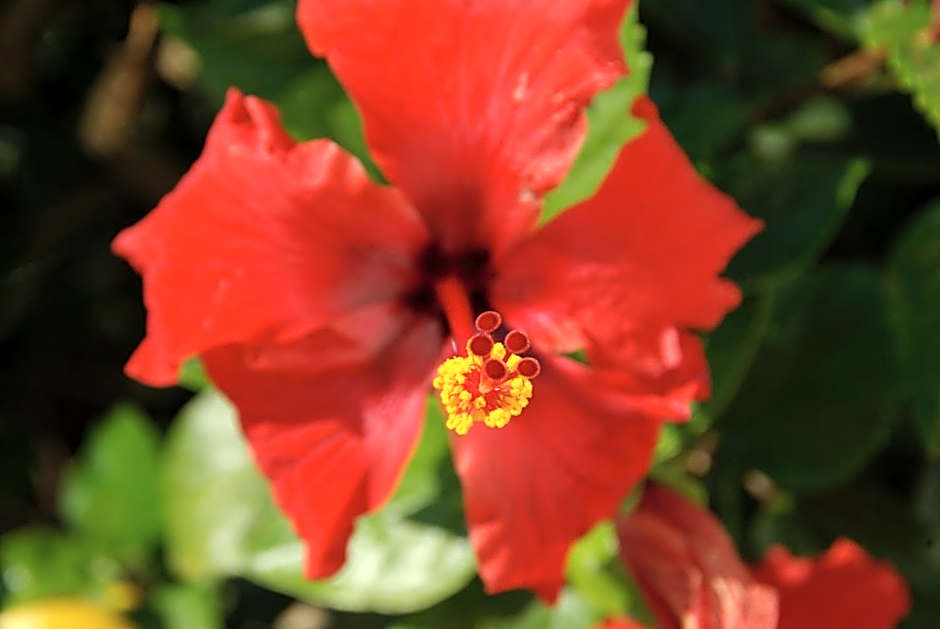 Hylatio Tourist Village