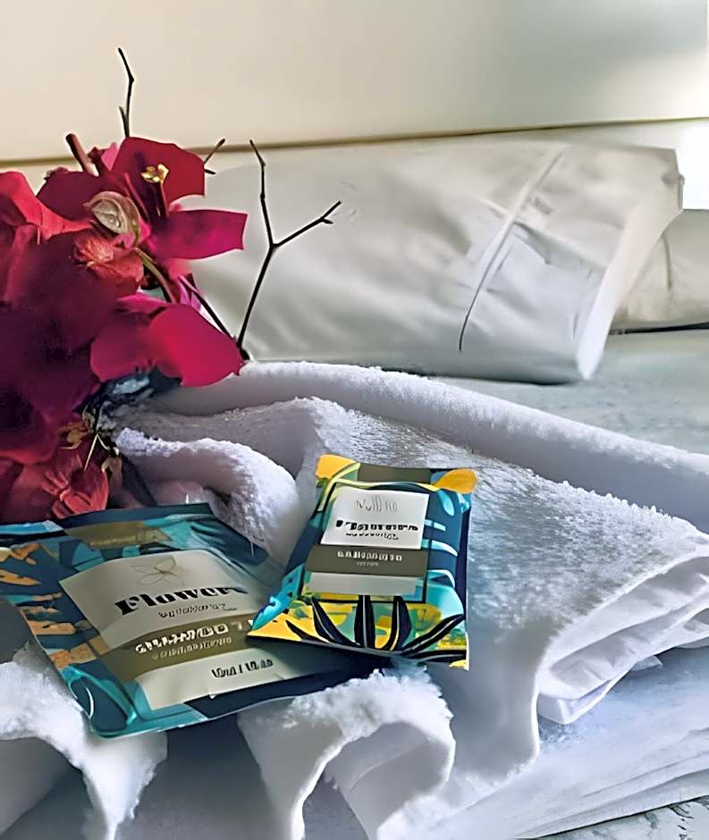 Bouganville Studio Brasília.