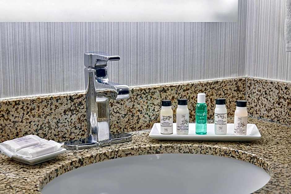 Delta Hotels by Marriott Detroit Novi