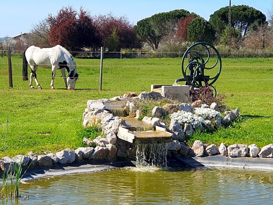 Domaine Christanna