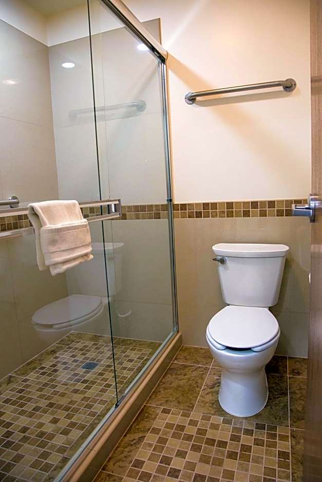 La Villa de Zaragoza