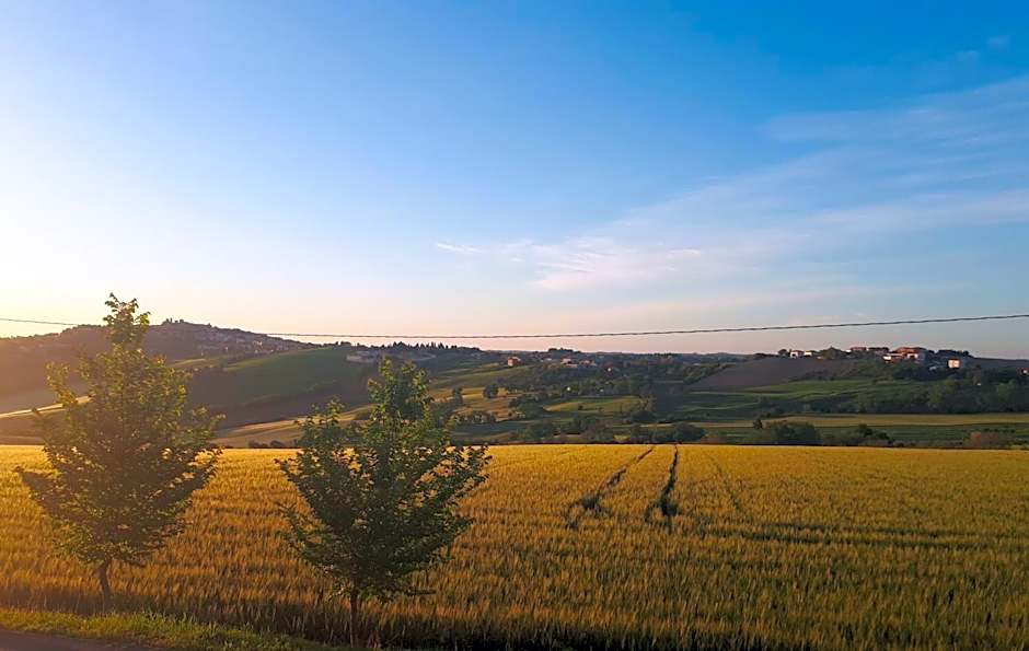 B&B I Pini Di Storaco