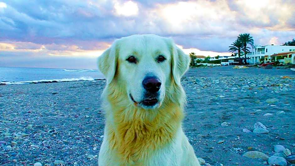 El Gran González Viviendas con Fines Turísticos