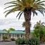 Palm Motel Waihi