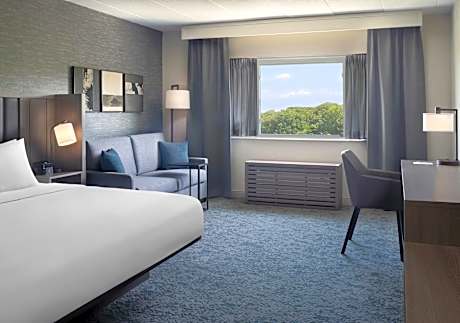 Traditional, Guest room, 1 King, Sofa bed