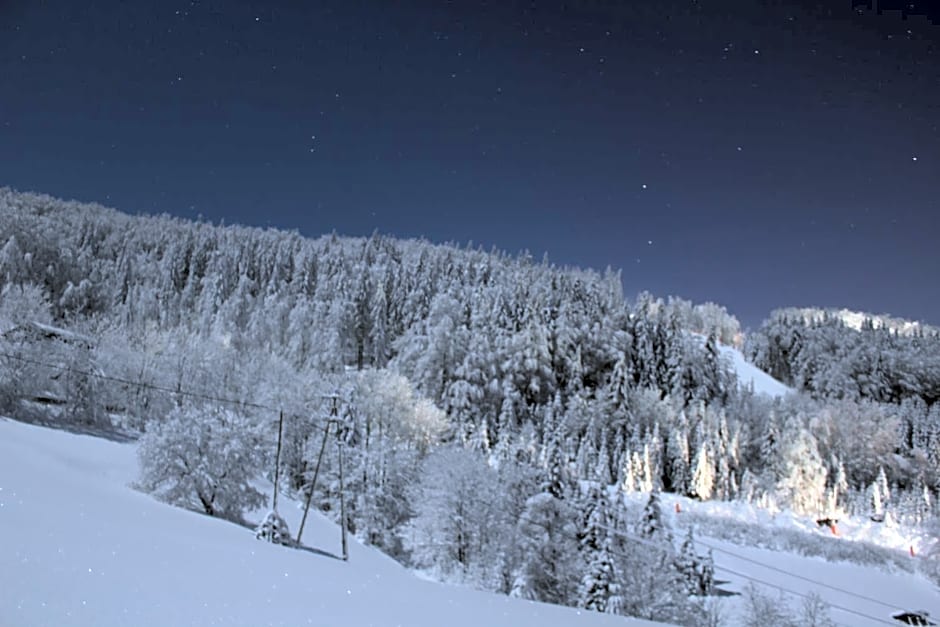 Hillton Jawornik – Wisla, IN