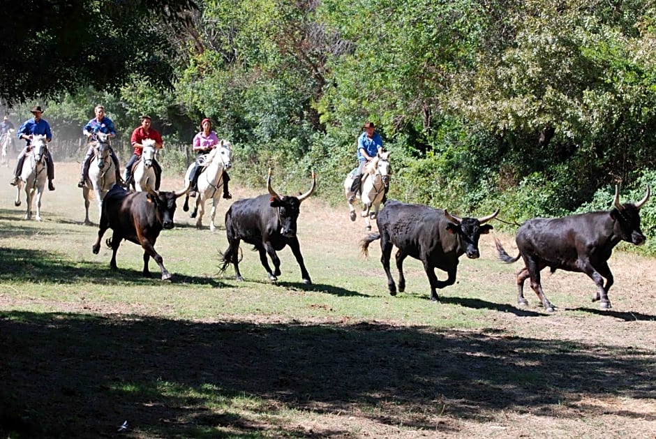 La Nanou'che (roulotte en Camargue)